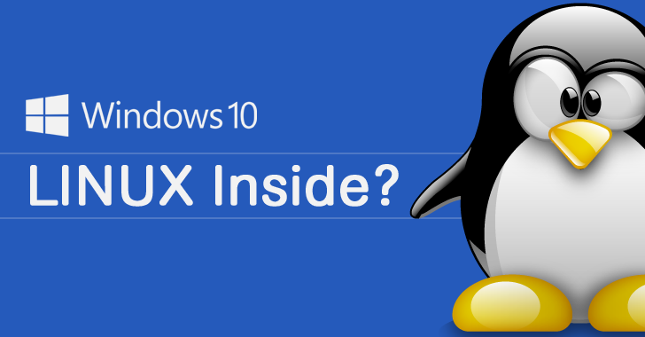 Find Out Reason Why Linux Is Better Than Windows 10 for Your Old Hardware